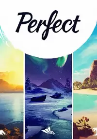 Купить Perfect
