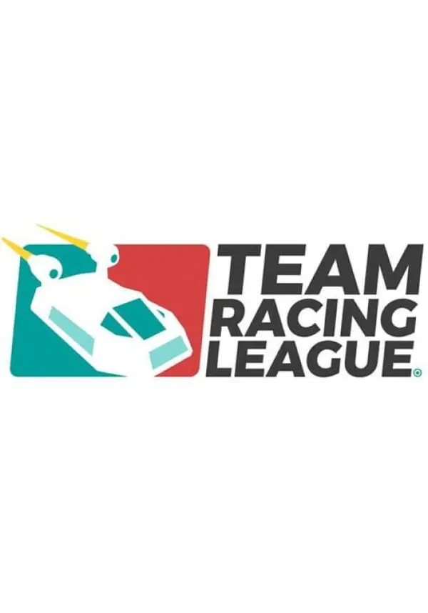 Купить Team Racing League