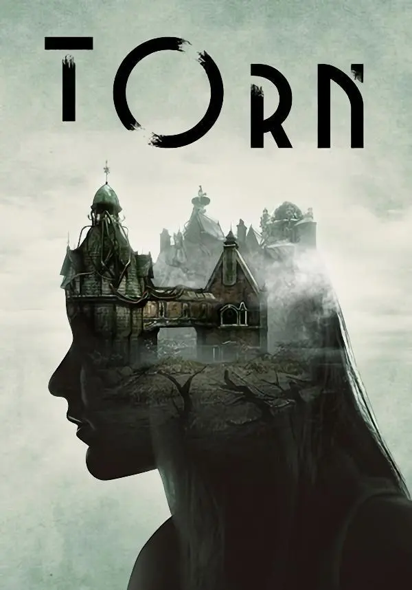 Купить Torn
