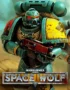 Warhammer 40