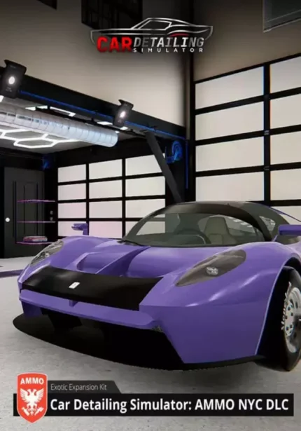 Car Detailing Simulator - Car Detailing Simulator - AMMO NYC DLC