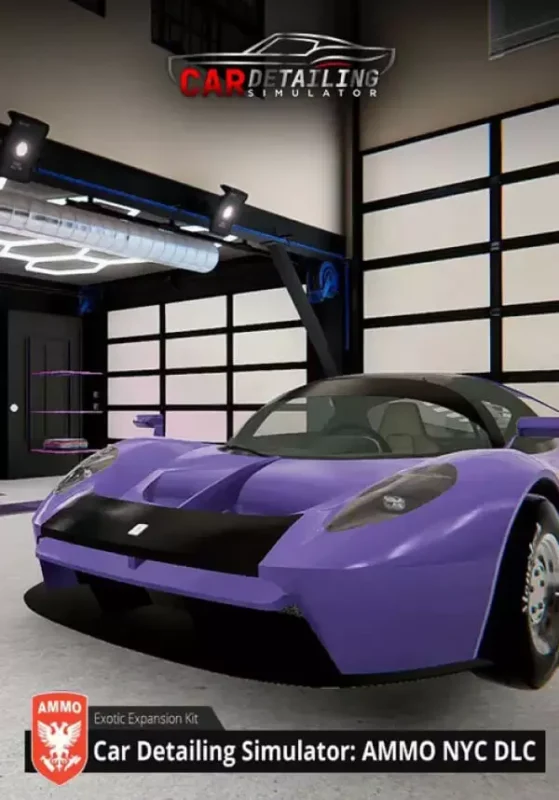 Car Detailing Simulator - Car Detailing Simulator - AMMO NYC DLC