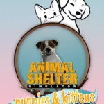 Animal Shelter - Animal Shelter - Puppies & Kittens DLC
