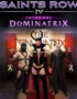 Saints Row IV Enter The Dominatrix DLC 4 Saints Row IV - Saints Row IV Enter The Dominatrix DLC
