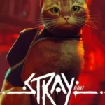 Stray
