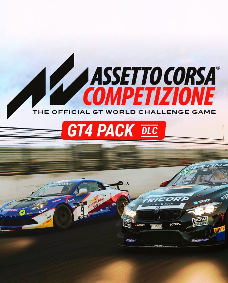 Купить Assetto Corsa Competizione GT4 Pack