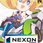 Купить DJMAX RESPECT V - NEXON PACK