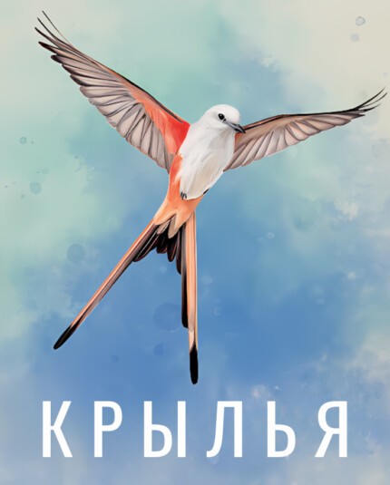 Wingspan
