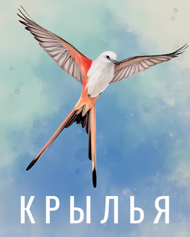 Wingspan