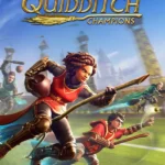 Harry Potter: Quidditch Champions