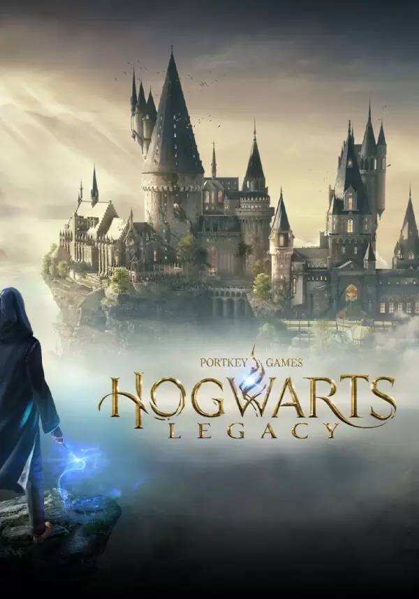 Купить Hogwarts Legacy