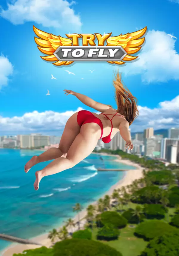 Купить Try to Fly