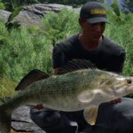 Купить Fishing Sim World®: Pro Tour - Jezioro Bestii