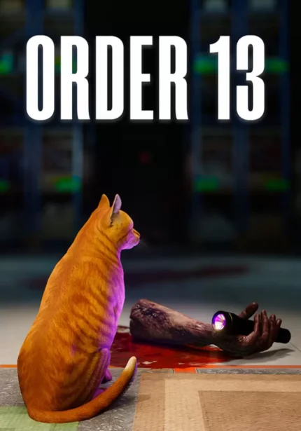 ORDER 13