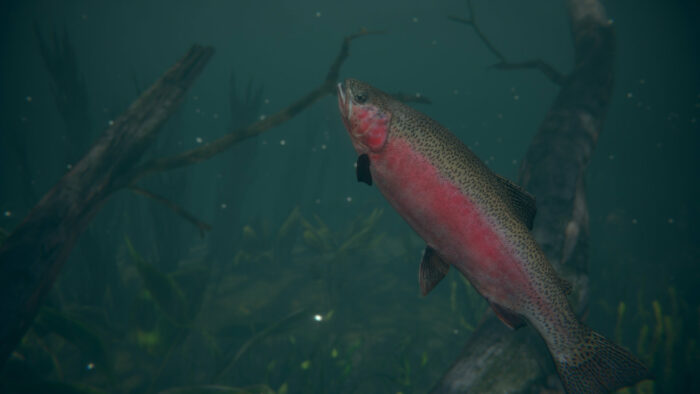Ultimate Fishing® Simulator 2
