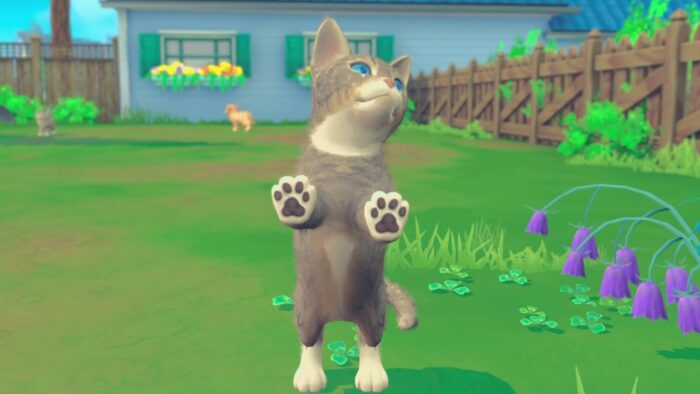 My Universe - Puppies & Kittens