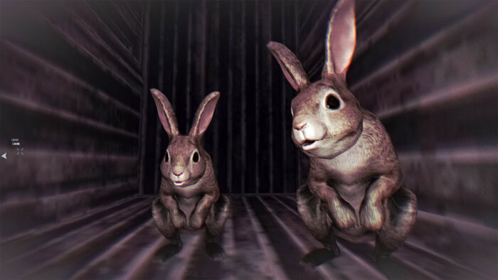 Rabbit Riot