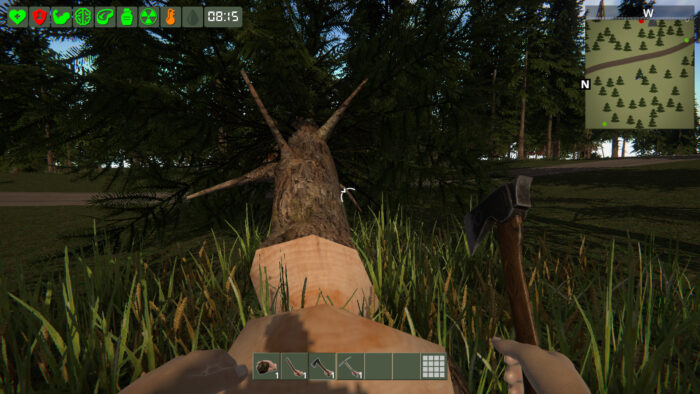 The Survivor