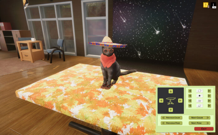 Animal Shelter