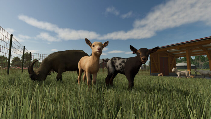 Farming Simulator 25