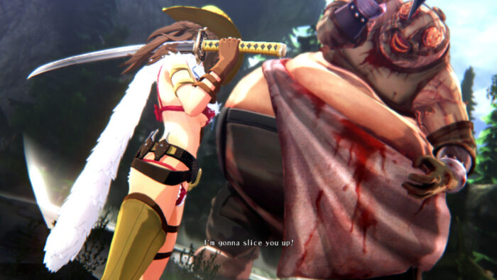 Onee Chanbara Origin