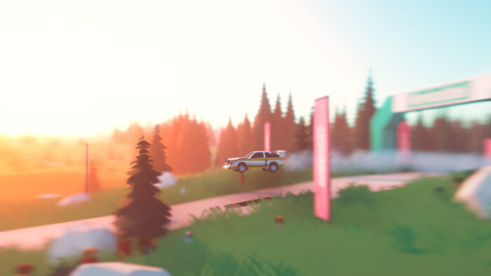 art of rally