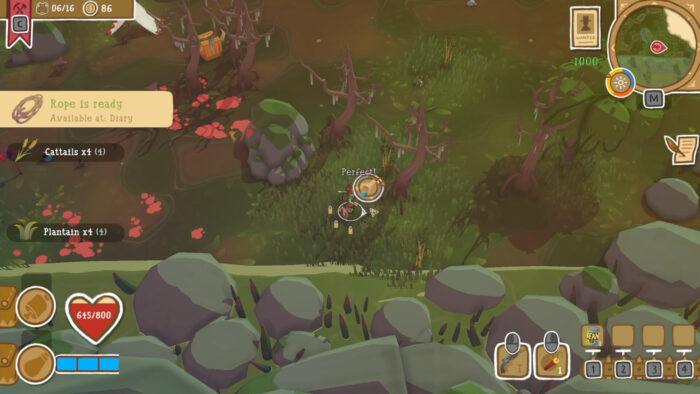 Dino Path Trail